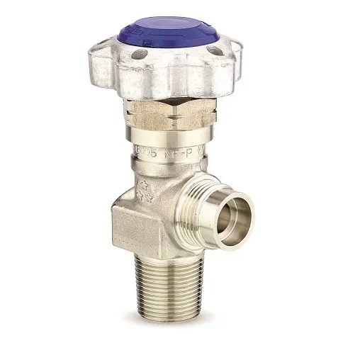 High pressure cylinder valves, packed needle stem design, for high purity gases - D100 — üretici ürün görseli