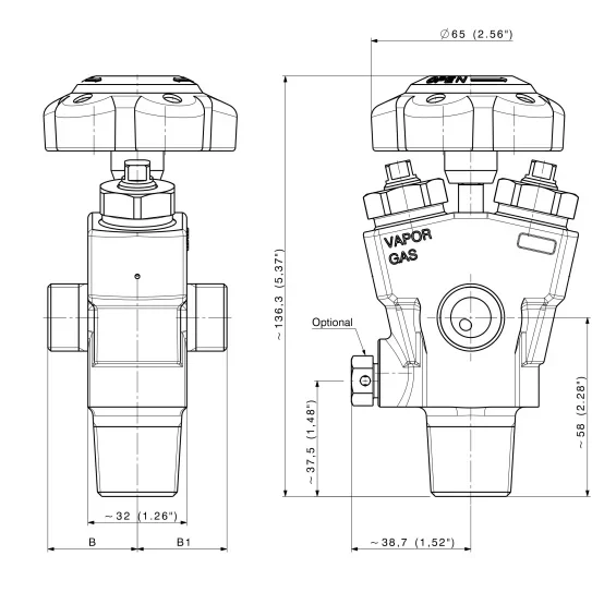 High pressure dual port cylinder valve for High Purity gases - D265 — 1