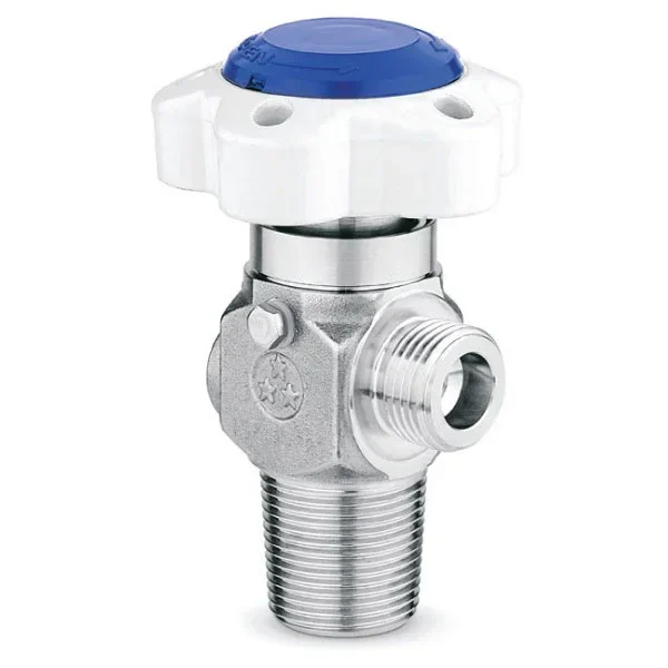 High pressure & high flow UHP cylinder valve – D339S — üretici ürün görseli