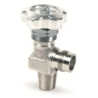 Packed cylinder valve for NO gas mixtures - D113 — üretici ürün görseli