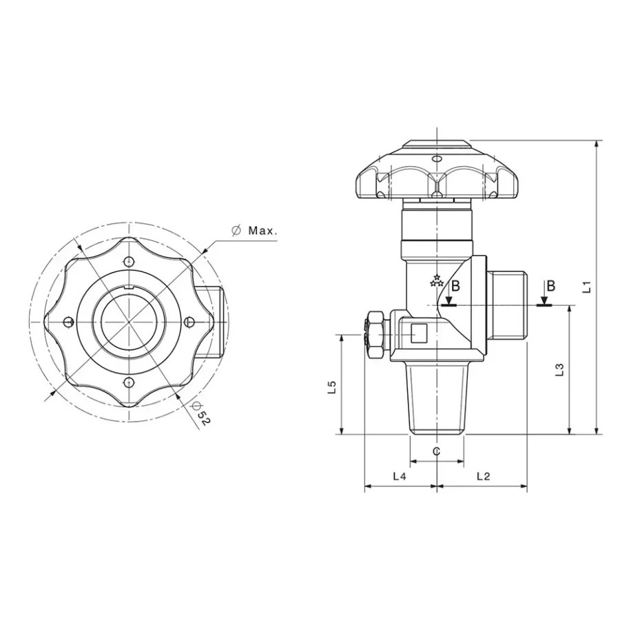 Small cone RPV valves - C969 — 1