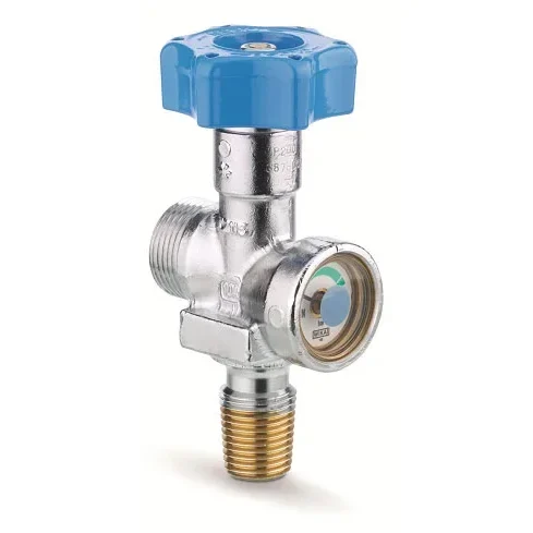 Small cone RPV valves - C978 — 1