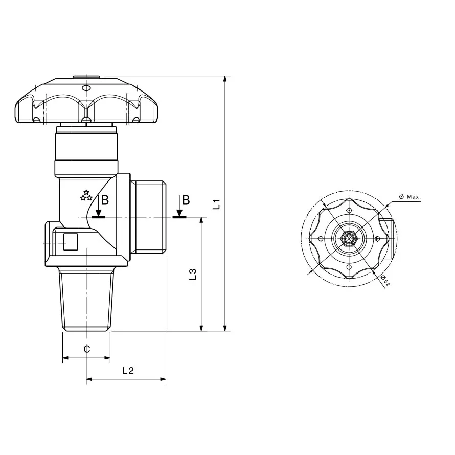 Small cone RPV valves - C978 — 3