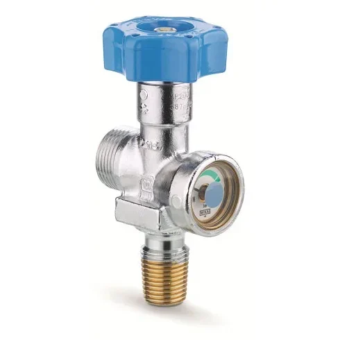 Small cone RPV valves - C979/C980 — 1