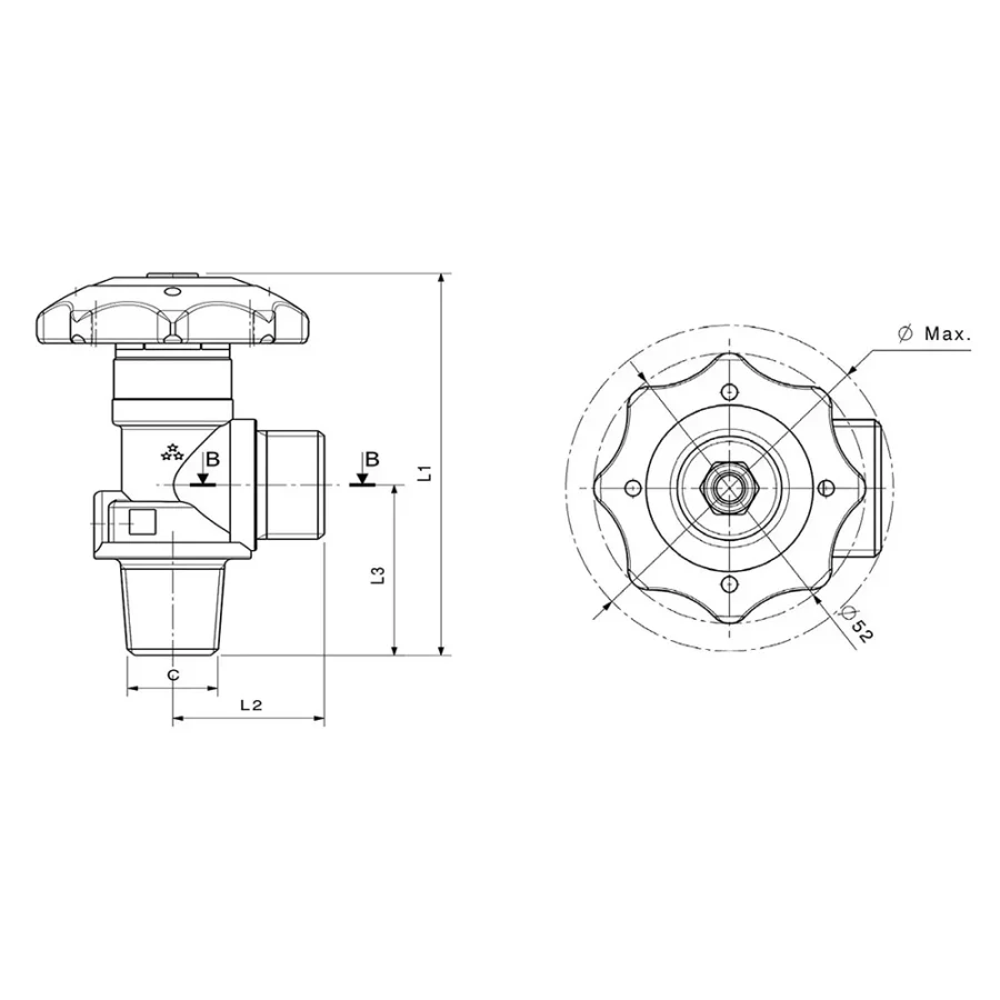 Small cone RPV valves - C979/C980 — 3