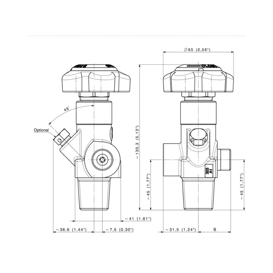 Stainless steel cylinder offline RPV valve for High Purity gases - D282 — 1