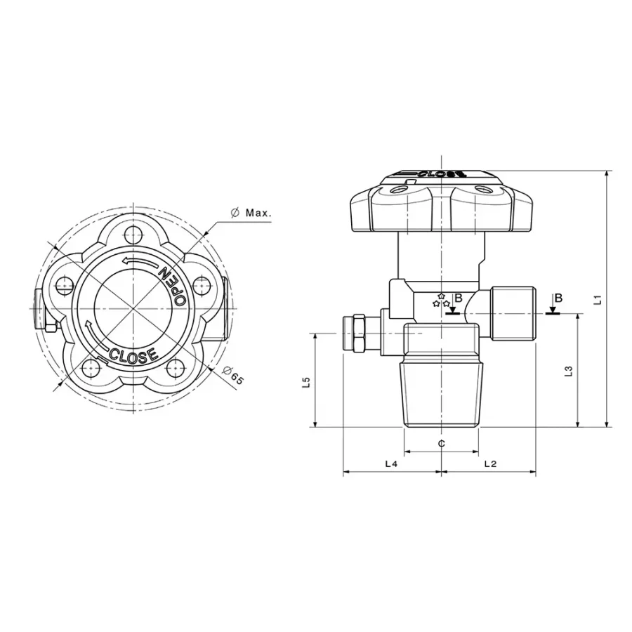 STANDARD RPV VALVES - C508 — 1
