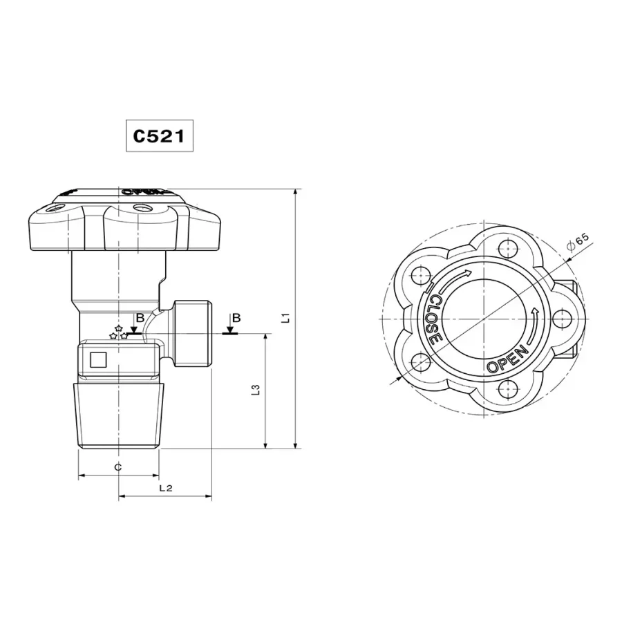 Standard RPV valves - C521/C526 — 2