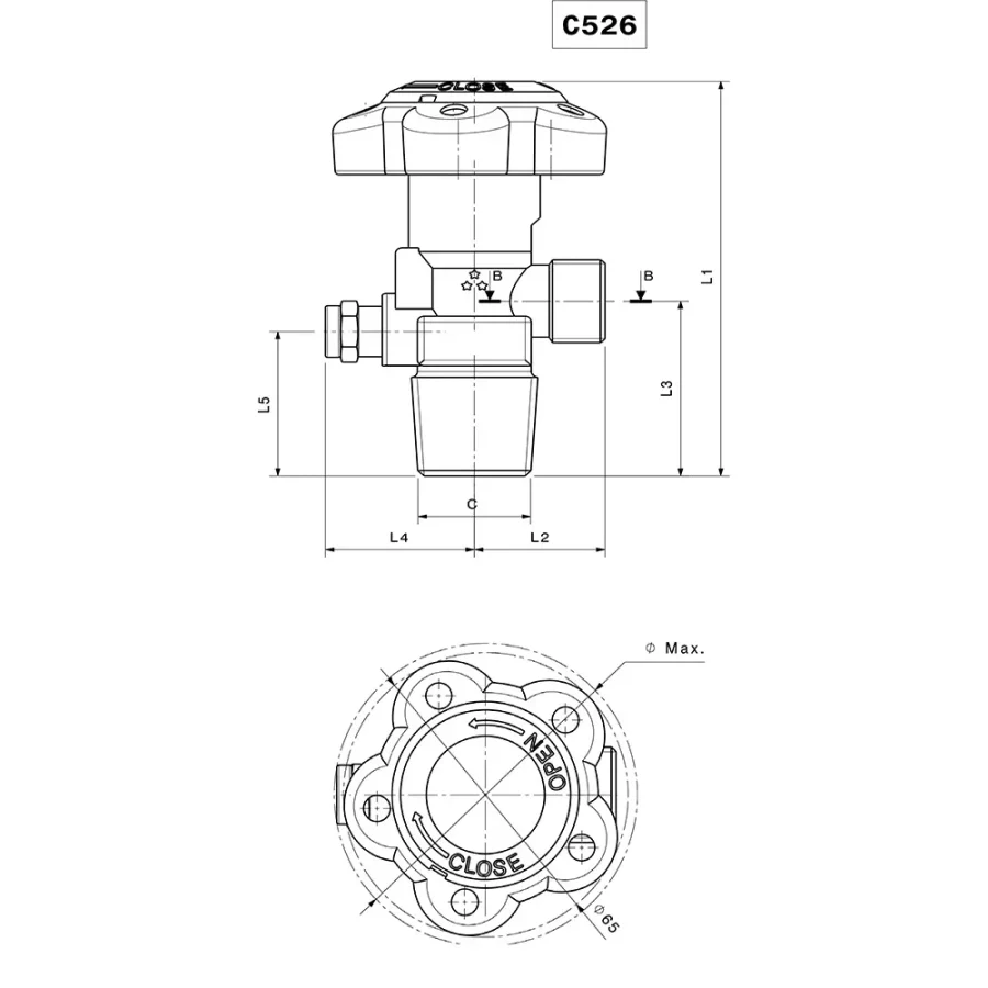 Standard RPV valves - C521/C526 — 3