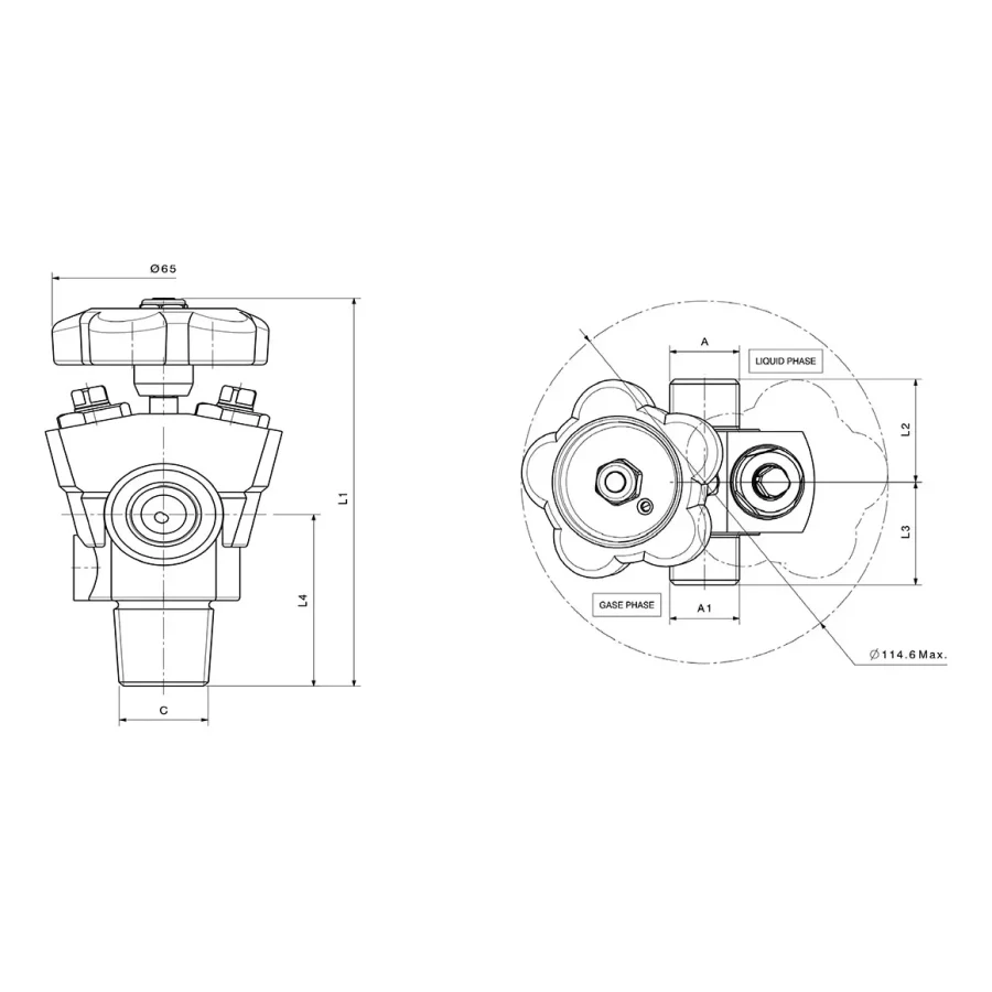 STANDARD RPV VALVES Y TYPE - C560 — 1