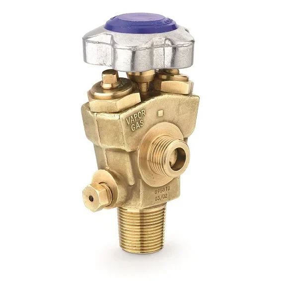 STANDARD RPV VALVES Y TYPE - C560 — manufacturer product image